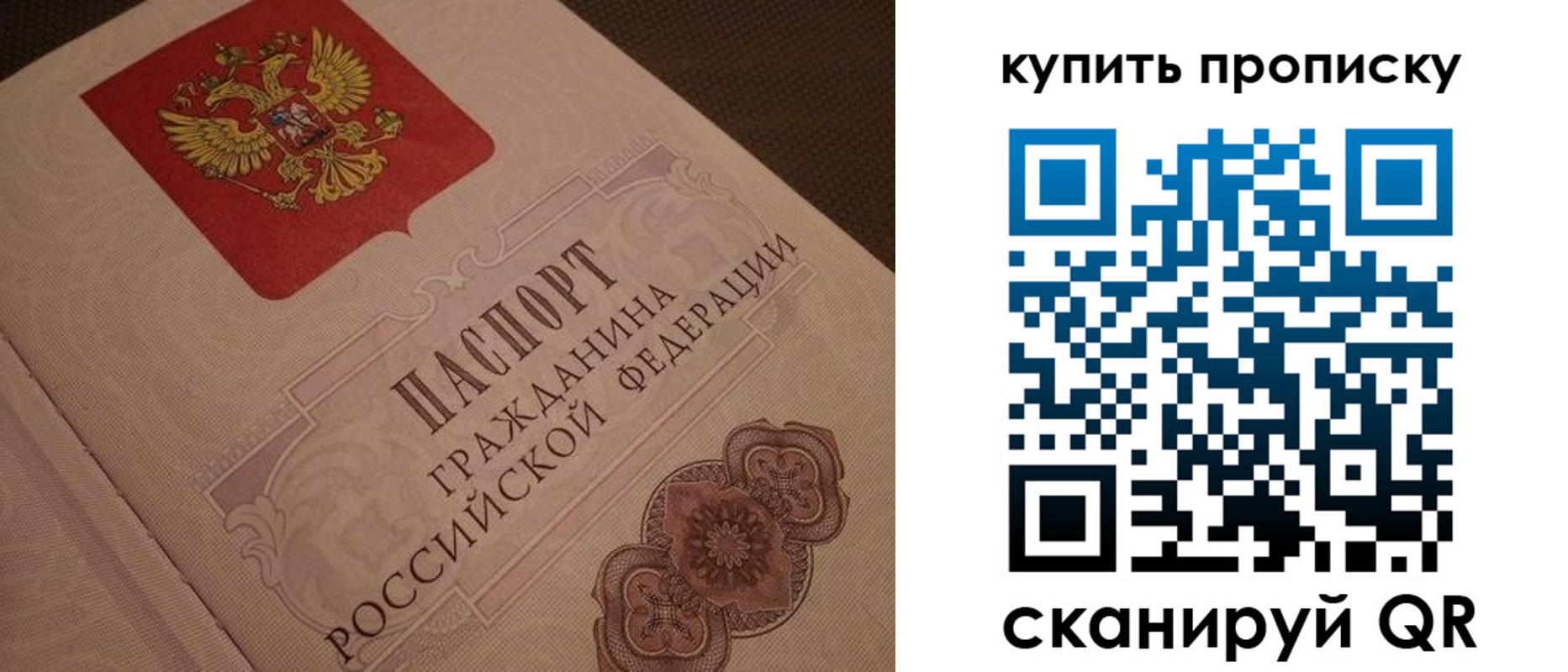 временная прописка в Дмитрове